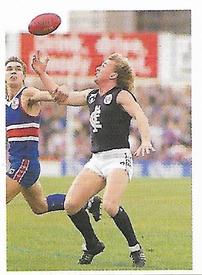 1991 Select AFL Stickers #52 Craig Bradley Front
